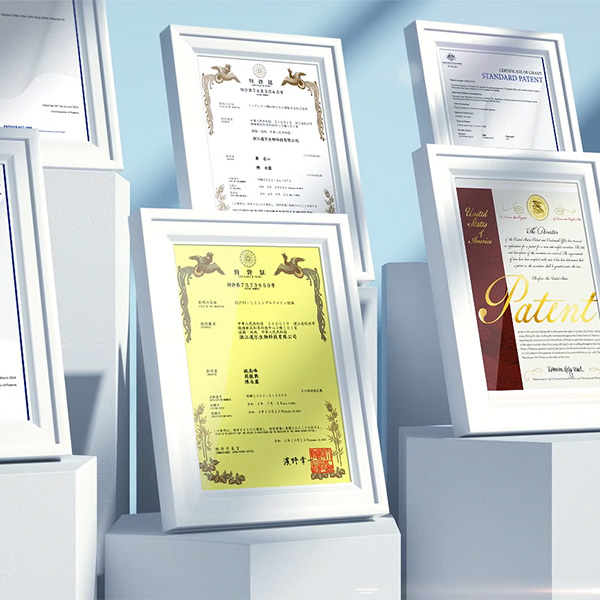 Patent Portfolio